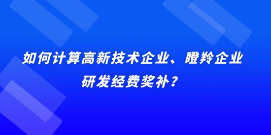 如何計(jì)算高新技術(shù)企業(yè)、瞪羚企業(yè)研發(fā)經(jīng)費(fèi)獎(jiǎng)補(bǔ)？用實(shí)際例子說明