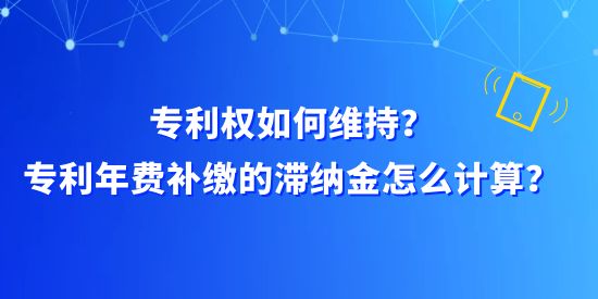 專利權(quán)如何維持？專利年費補繳的滯納金怎么計算？